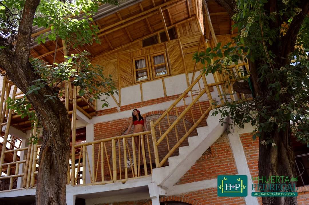 Foto de La Huerta del Pedregal
